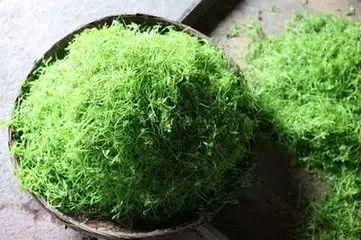 安康富硒茶特色是什么茶（安康富硒茶叶）-硒宝网