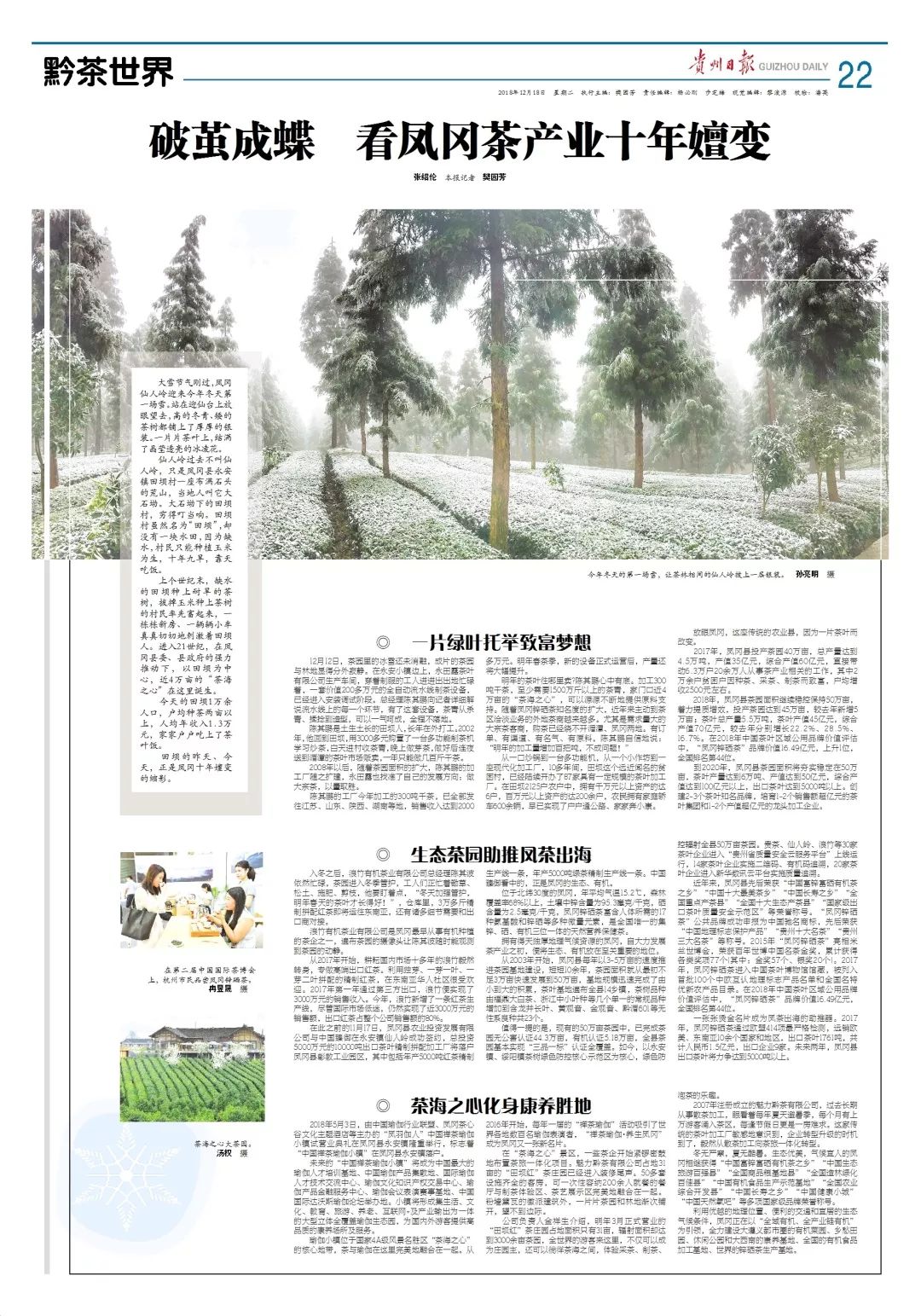 凤冈富锌富硒茶营养价值（凤冈锌硒富硒茶）-硒宝网