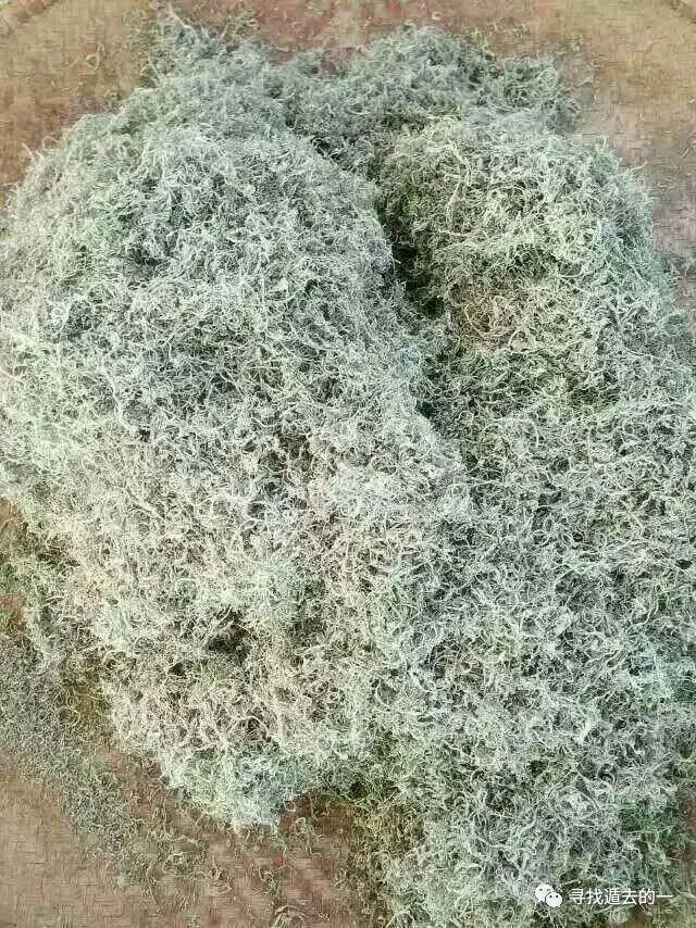 藤茶富硒标准是多少克硒(富硒藤茶的骗局)-硒宝网