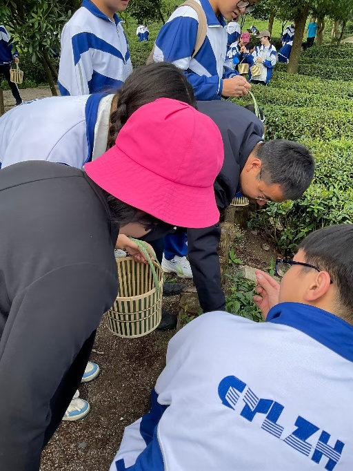 富硒茶加工工序流程视频(做茶工艺流程视频)-硒宝网