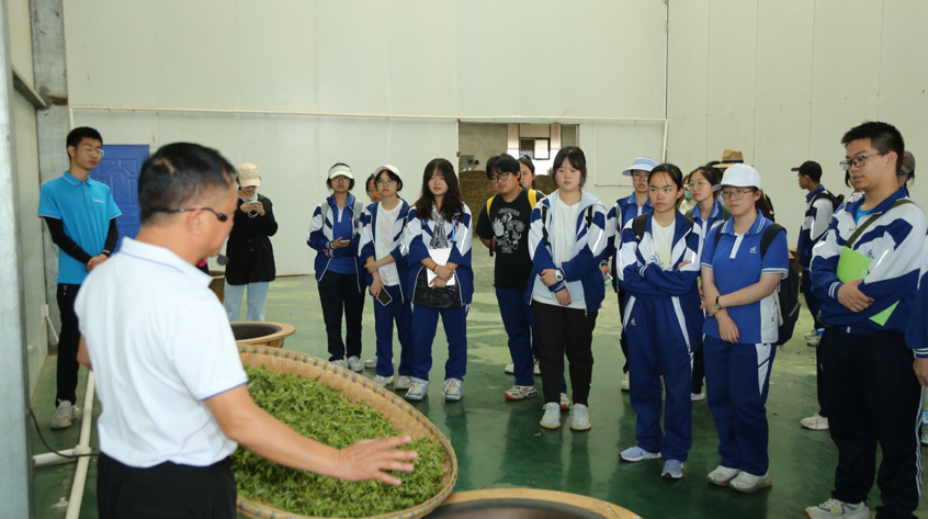 富硒茶加工工序流程视频(做茶工艺流程视频)-硒宝网