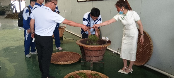 富硒茶加工工序流程视频(做茶工艺流程视频)-硒宝网