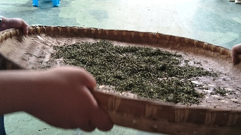 富硒茶加工工序流程视频(做茶工艺流程视频)-硒宝网