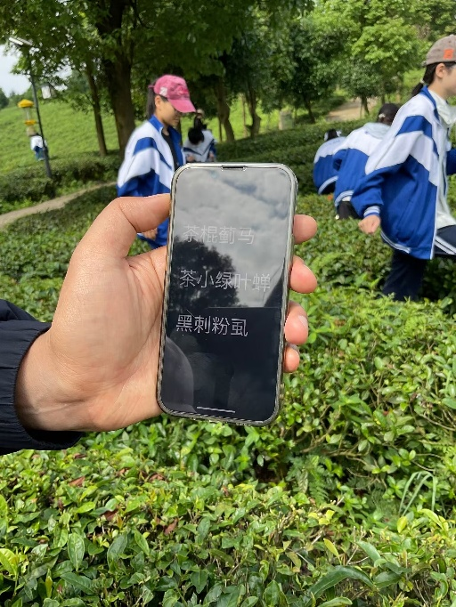 富硒茶加工工序流程视频(做茶工艺流程视频)-硒宝网