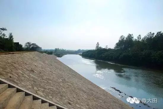 富晒富硒茶的功效与作用(晒茶的功效)-硒宝网