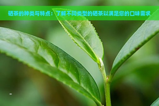 富硒茶属于黑茶还是绿茶(绿茶茶黑茶属于富硒类吗)-硒宝网