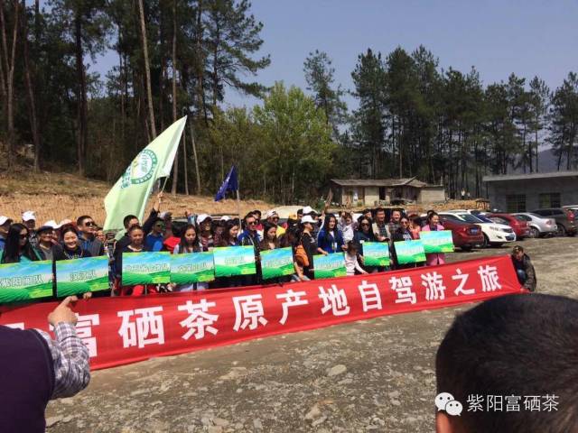 西安紫阳富硒茶销售地址（陕西紫阳茶园）-硒宝网