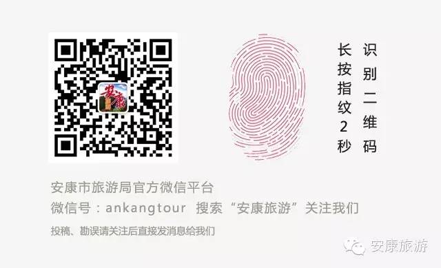 西安紫阳富硒茶销售地址（陕西紫阳茶园）-硒宝网