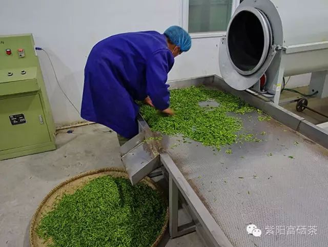 西安紫阳富硒茶销售地址（陕西紫阳茶园）-硒宝网