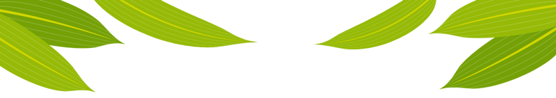 安康茶叶富硒茶西安专卖（陕西安康富硒茶）-硒宝网