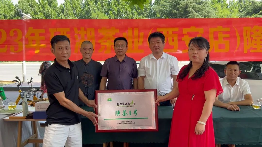 安康茶叶富硒茶西安专卖（陕西安康富硒茶）-硒宝网
