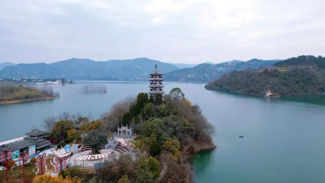 安康富硒茶官方介绍语言（安康富硒茶的功效与作用）-硒宝网