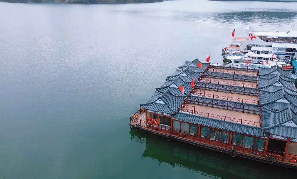 安康富硒茶官方介绍语言（安康富硒茶的功效与作用）-硒宝网