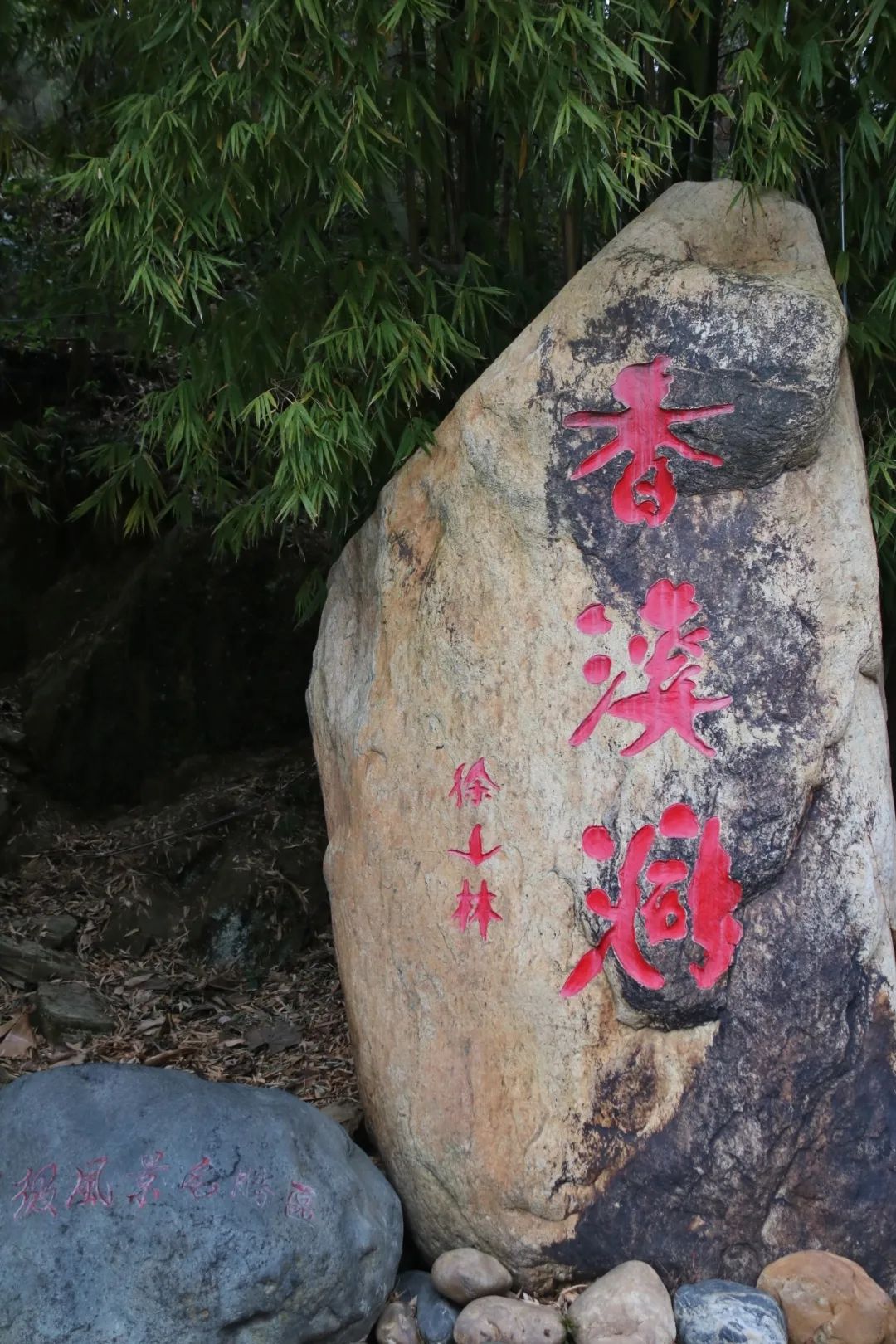 安康富硒茶官方介绍语言（安康富硒茶的功效与作用）-硒宝网