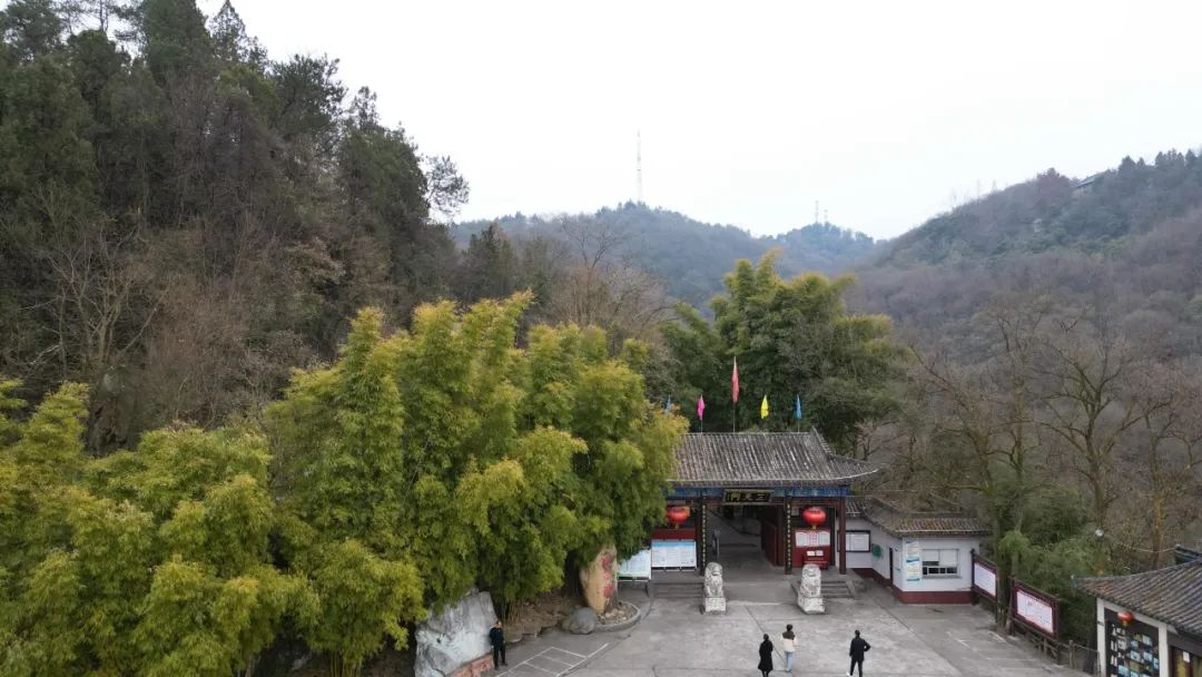 安康富硒茶官方介绍语言（安康富硒茶的功效与作用）-硒宝网