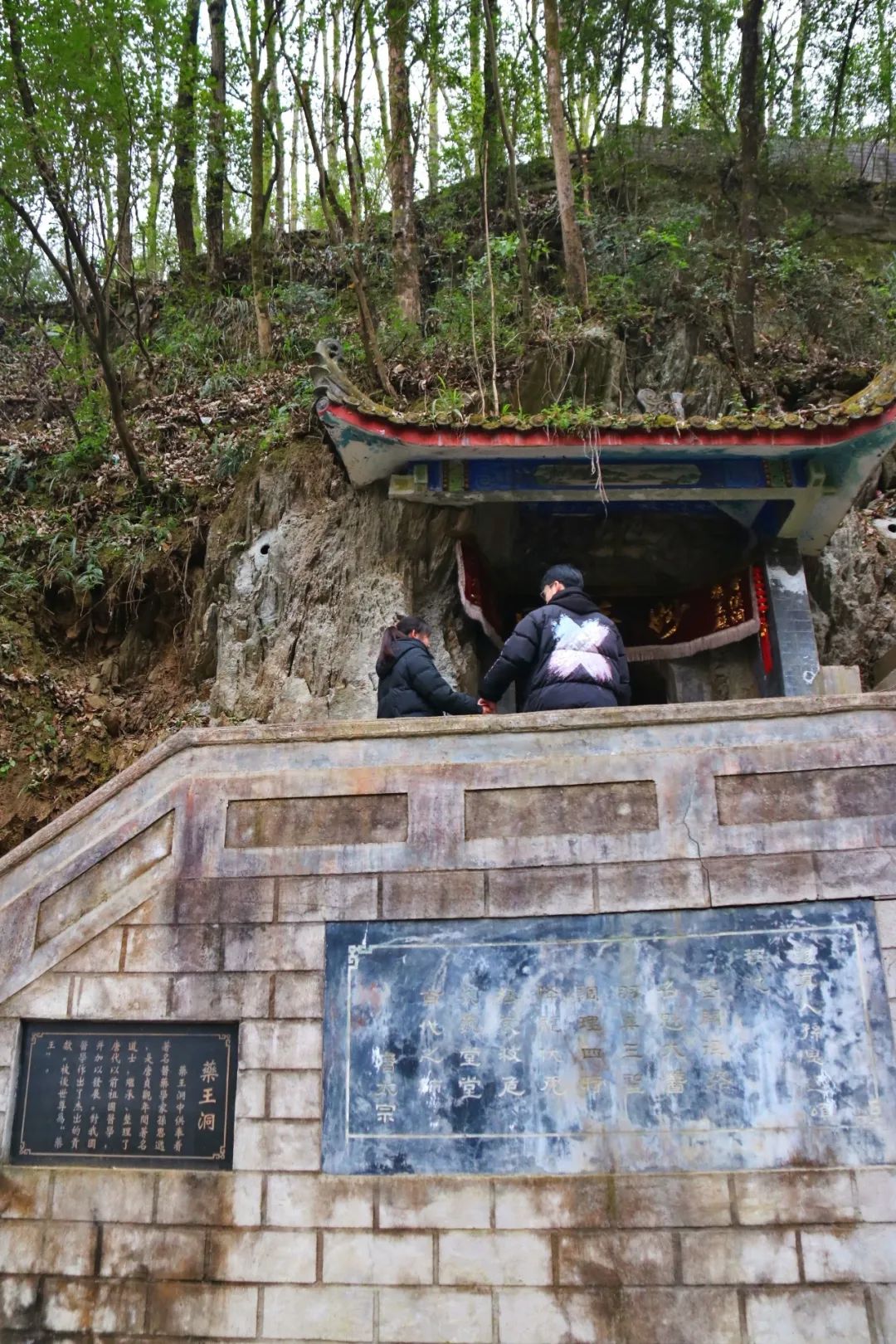 安康富硒茶官方介绍语言（安康富硒茶的功效与作用）-硒宝网