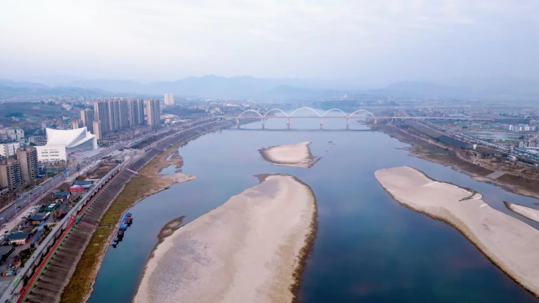 安康富硒茶官方介绍语言（安康富硒茶的功效与作用）-硒宝网