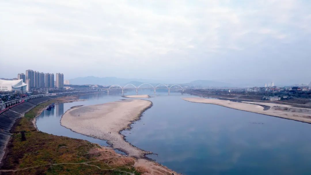 安康富硒茶官方介绍语言（安康富硒茶的功效与作用）-硒宝网