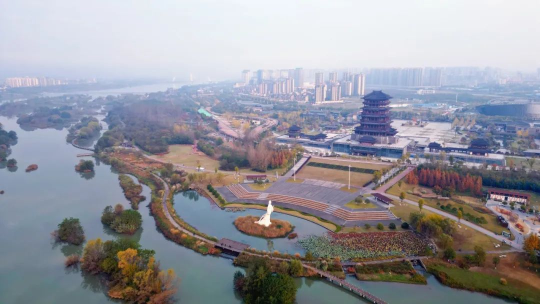 安康富硒茶官方介绍语言（安康富硒茶的功效与作用）-硒宝网