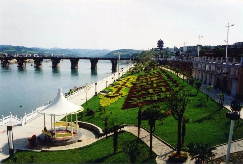 安康富硒茶官方介绍语言（安康富硒茶的功效与作用）-硒宝网