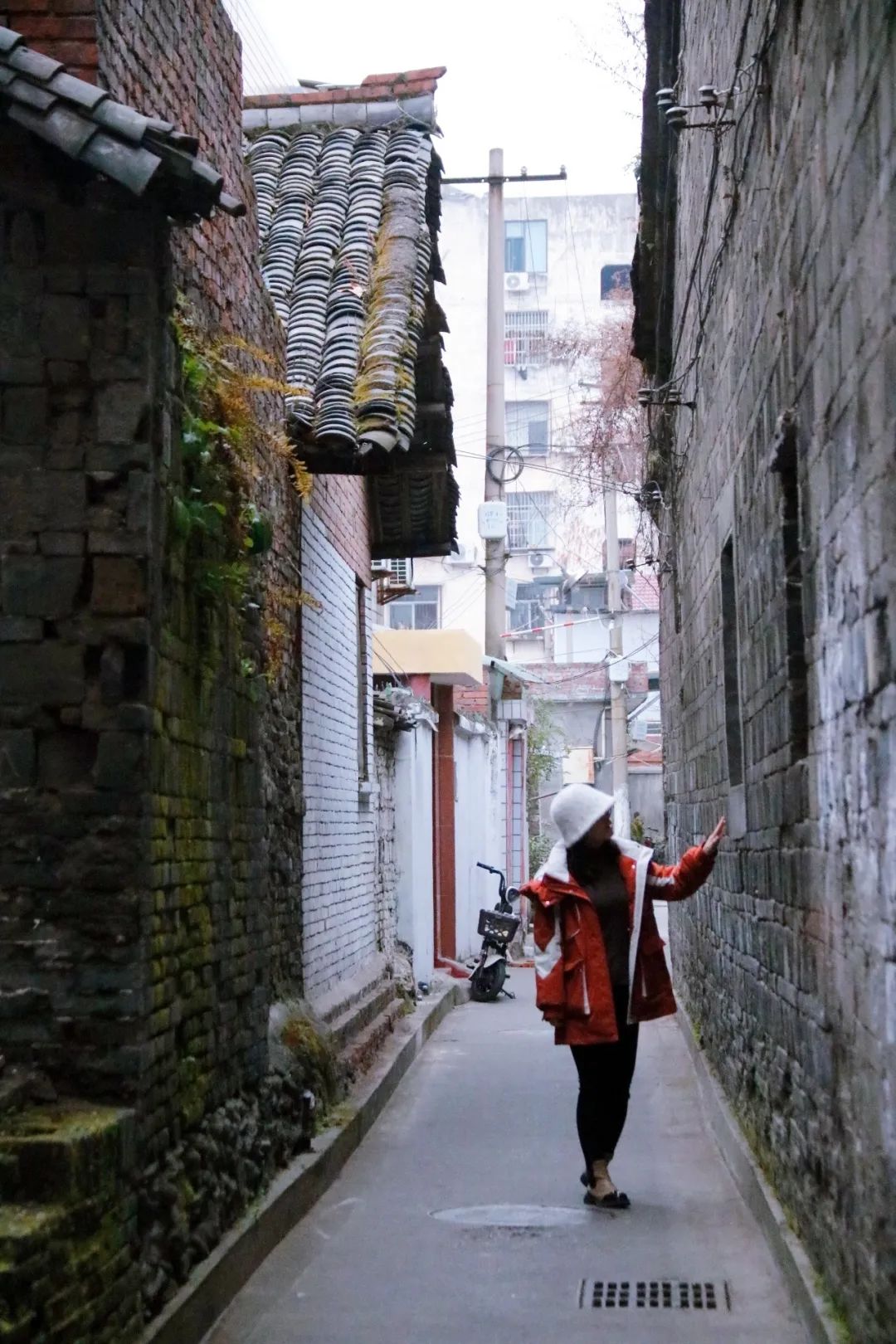 安康富硒茶官方介绍语言（安康富硒茶的功效与作用）-硒宝网