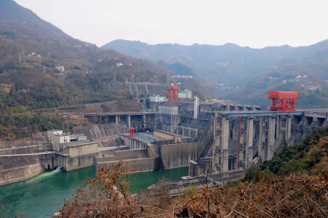 安康富硒茶官方介绍语言（安康富硒茶的功效与作用）-硒宝网