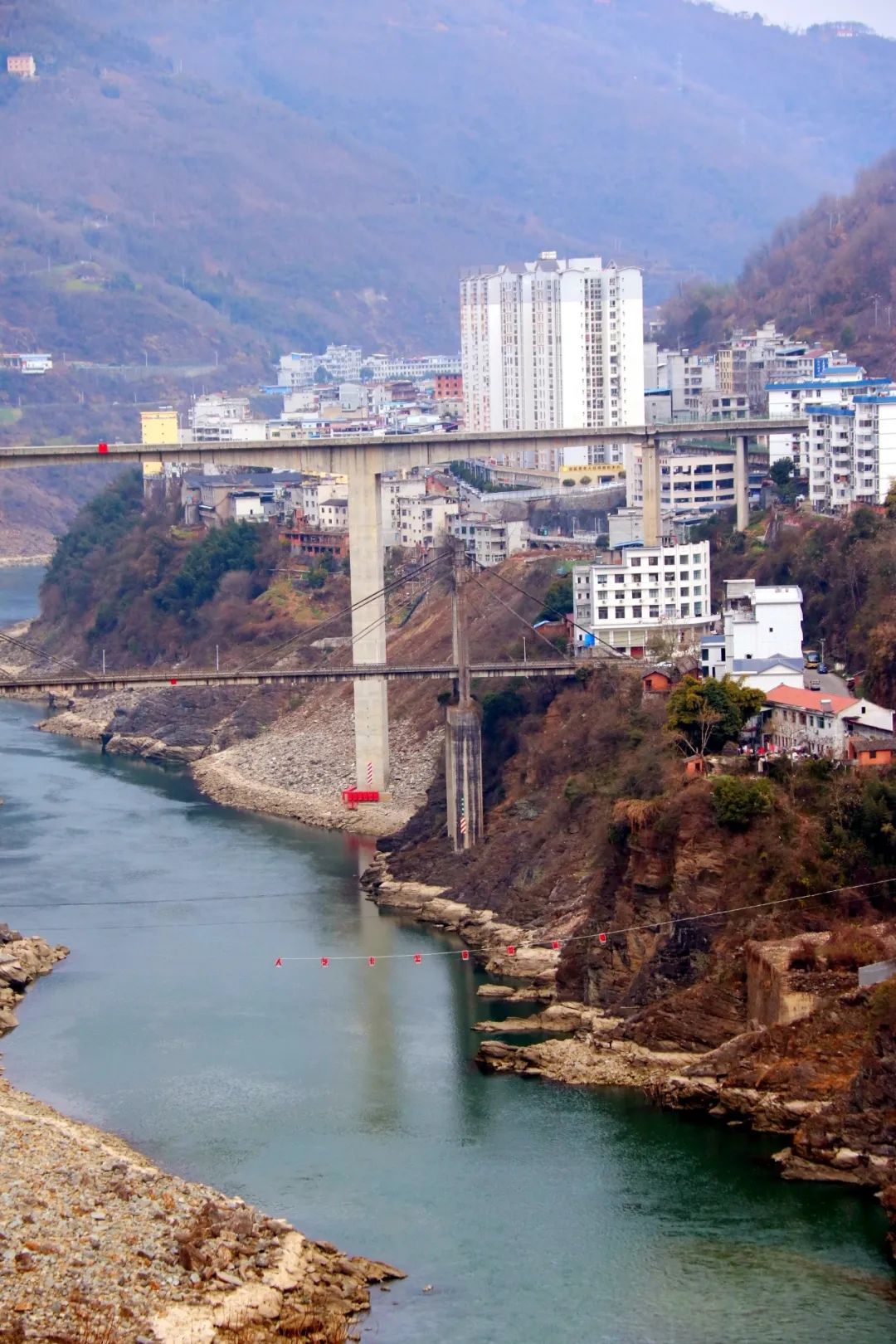 安康富硒茶官方介绍语言（安康富硒茶的功效与作用）-硒宝网