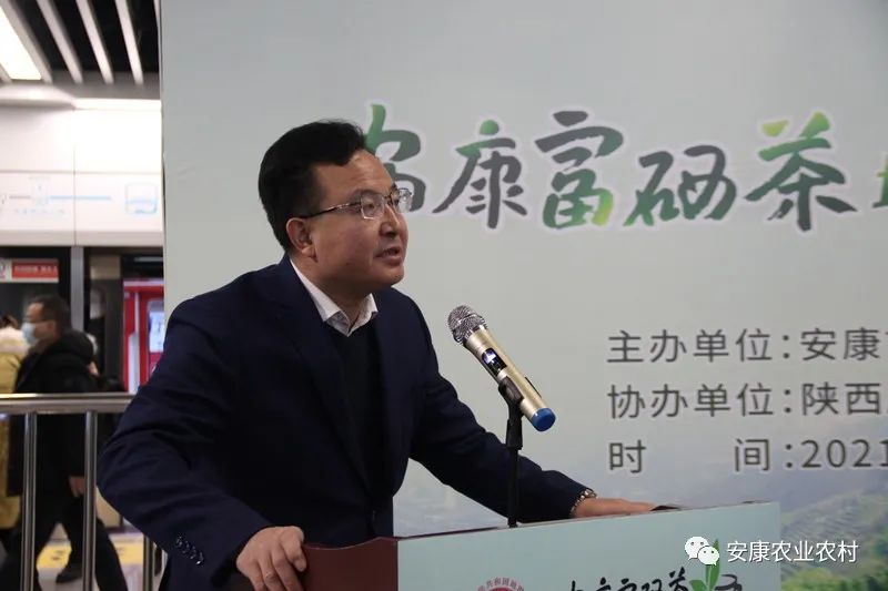 安康茶叶富硒茶西安专卖（安康富硒茶主要产自哪里）-硒宝网