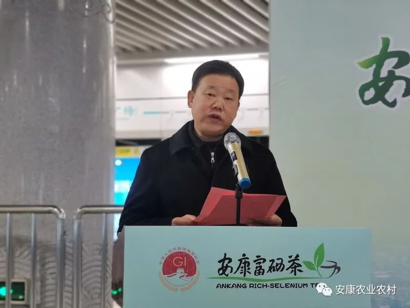 安康茶叶富硒茶西安专卖（安康富硒茶主要产自哪里）-硒宝网