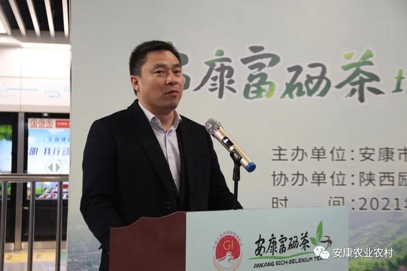 安康茶叶富硒茶西安专卖（安康富硒茶主要产自哪里）-硒宝网