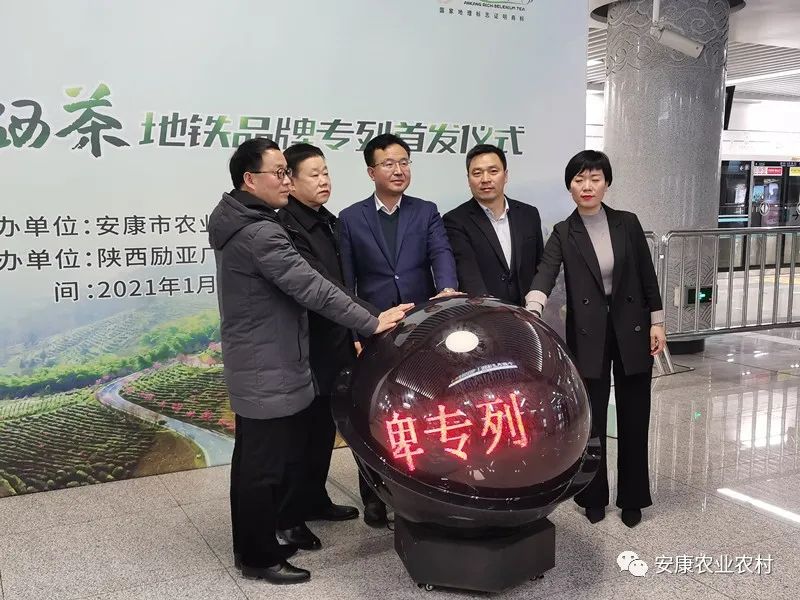 安康茶叶富硒茶西安专卖（安康富硒茶主要产自哪里）-硒宝网