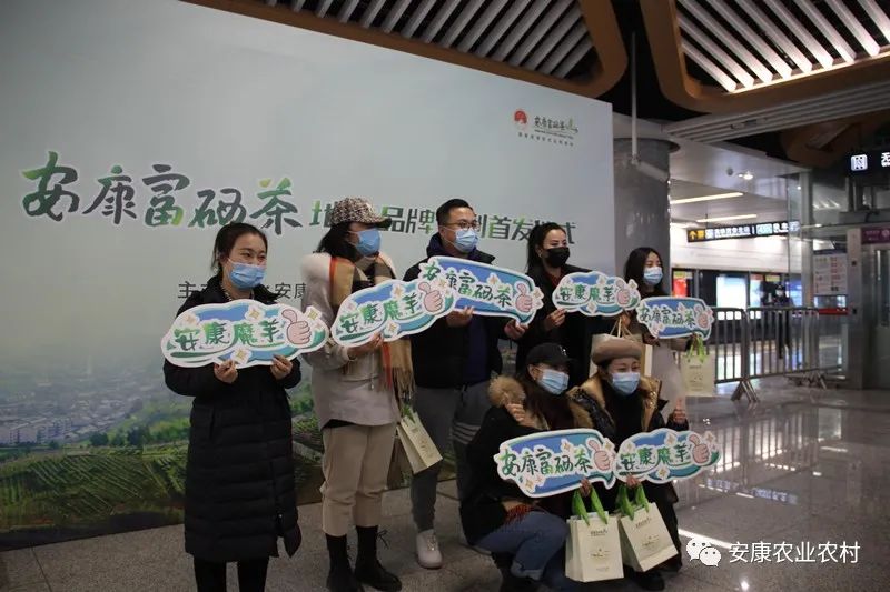 安康茶叶富硒茶西安专卖（安康富硒茶主要产自哪里）-硒宝网