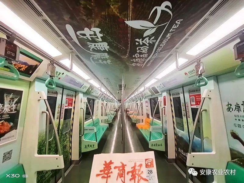 安康茶叶富硒茶西安专卖（安康富硒茶主要产自哪里）-硒宝网