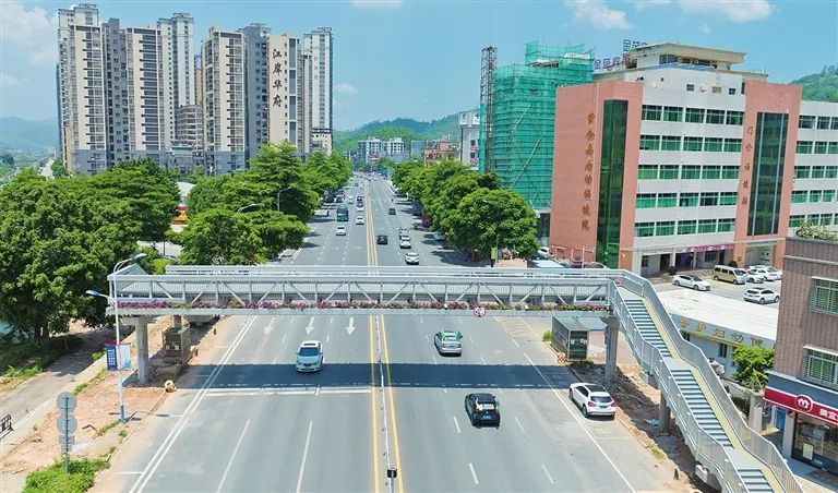 构建富硒茶产业标准体系（茶叶的富硒标准）-硒宝网