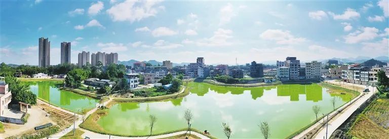 构建富硒茶产业标准体系（茶叶的富硒标准）-硒宝网