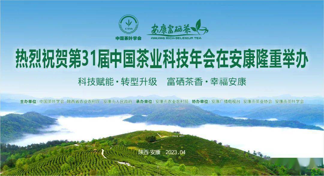 安康富硒茶品牌整合方案(安康富硒茶发展情况)-硒宝网