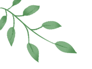 紫阳明前富硒茶2022(紫阳富硒茶山)-硒宝网