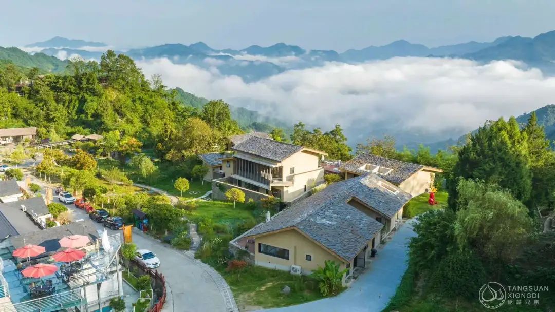 紫阳明前富硒茶2022(紫阳富硒茶山)-硒宝网