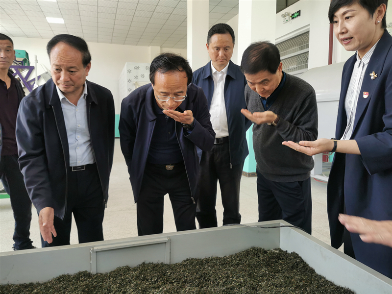 安康富硒茶品牌整合方案（安康富硒茶产业）-硒宝网