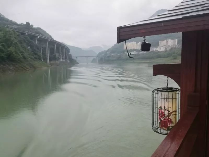 紫阳明前富硒茶2022(紫阳富硒明前茶价格)-硒宝网