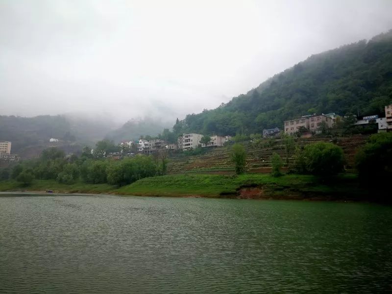 紫阳明前富硒茶2022(紫阳富硒明前茶价格)-硒宝网