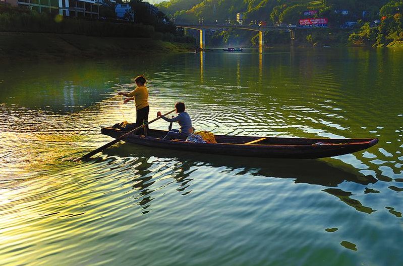 紫阳明前富硒茶2022(紫阳富硒明前茶价格)-硒宝网