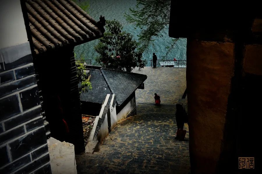 紫阳明前富硒茶2022(紫阳富硒明前茶价格)-硒宝网