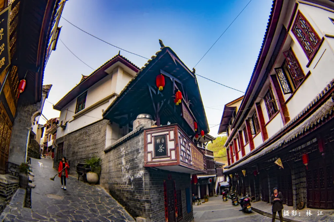 紫阳明前富硒茶2022(紫阳富硒明前茶价格)-硒宝网