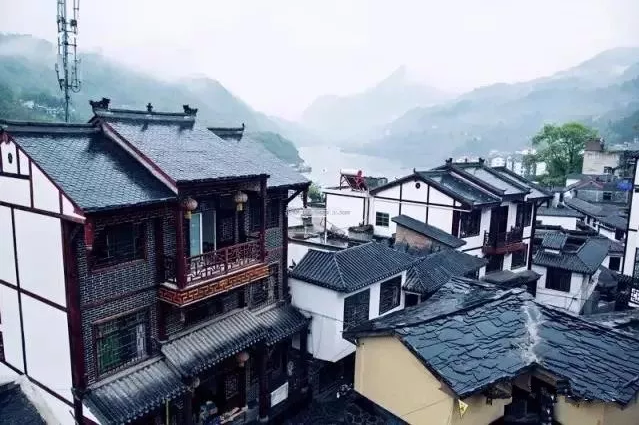 紫阳明前富硒茶2022(紫阳富硒明前茶价格)-硒宝网