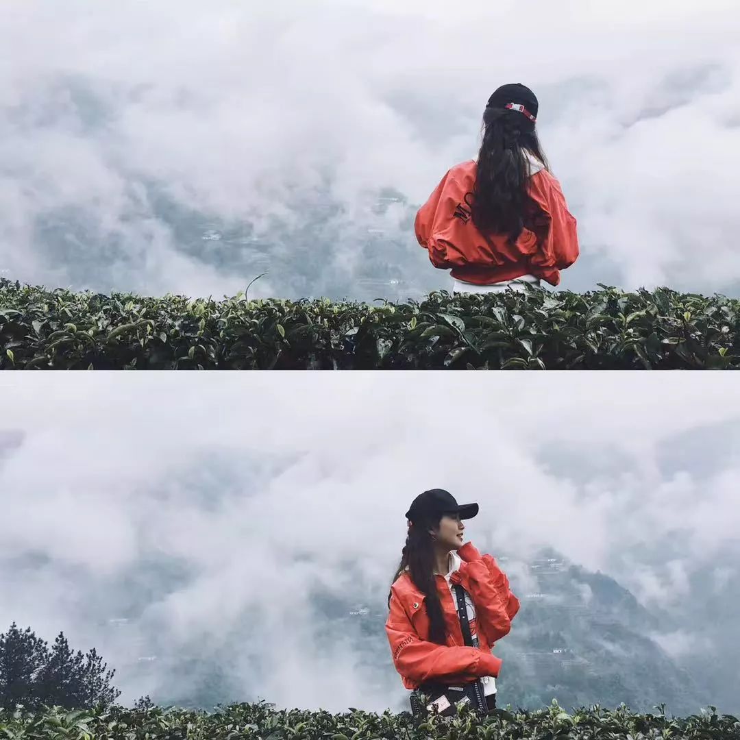 紫阳明前富硒茶2022(紫阳富硒明前茶价格)-硒宝网