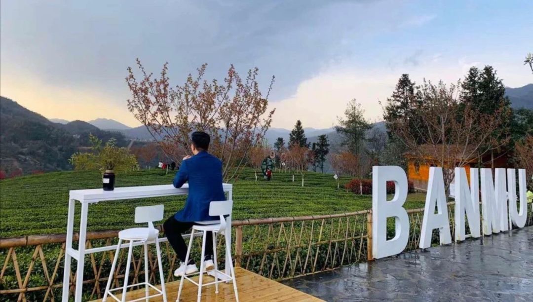 紫阳明前富硒茶2022(紫阳富硒明前茶价格)-硒宝网