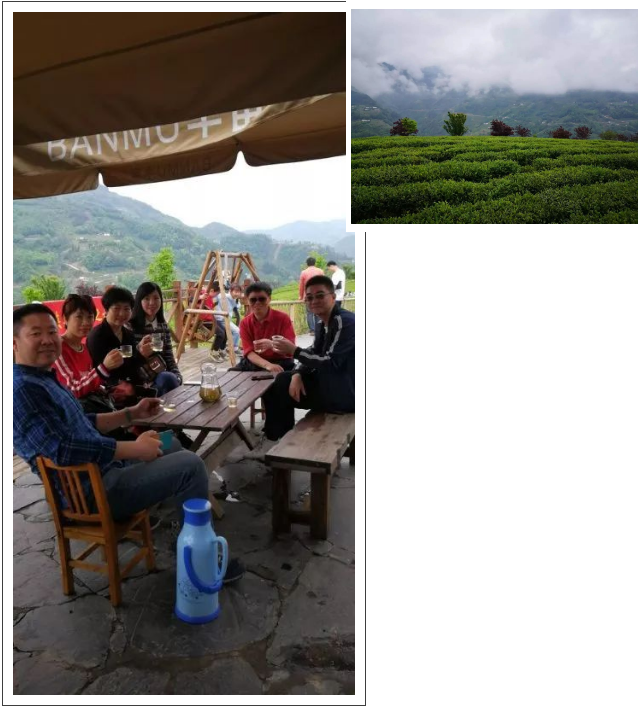 紫阳明前富硒茶2022(紫阳富硒明前茶价格)-硒宝网