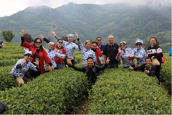 紫阳明前富硒茶2022(紫阳富硒明前茶价格)-硒宝网