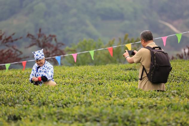 紫阳明前富硒茶2022(紫阳富硒明前茶价格)-硒宝网